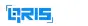 bank qris